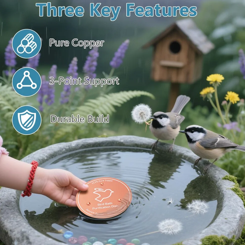 Disque de Purification pour Bain d'oiseaux en Cuivre 99,99% avec Support, pour Extérieur Jardin