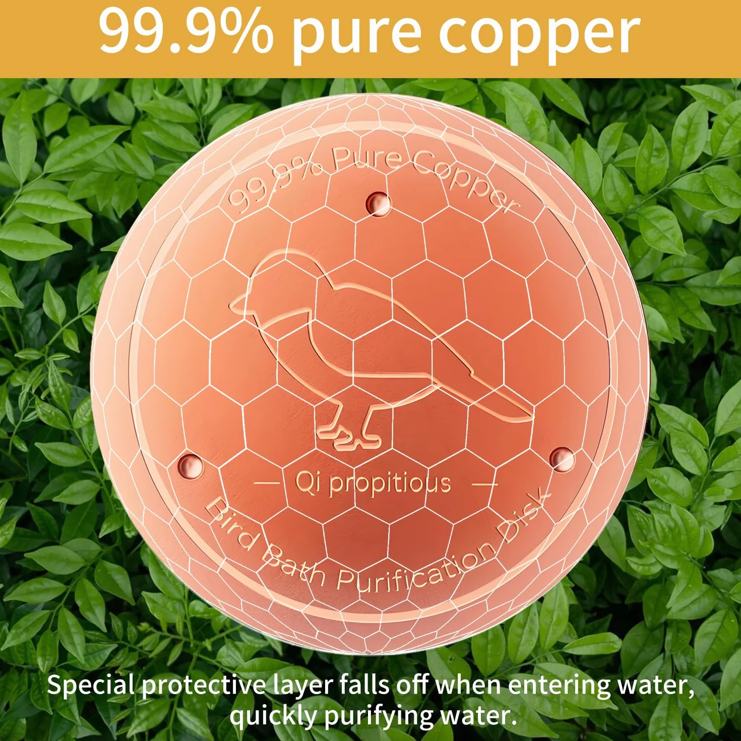 Disque en cuivre pur 99,99% pour purifier l'eau des bains d'oiseaux, bassins et fontaines extérieurs