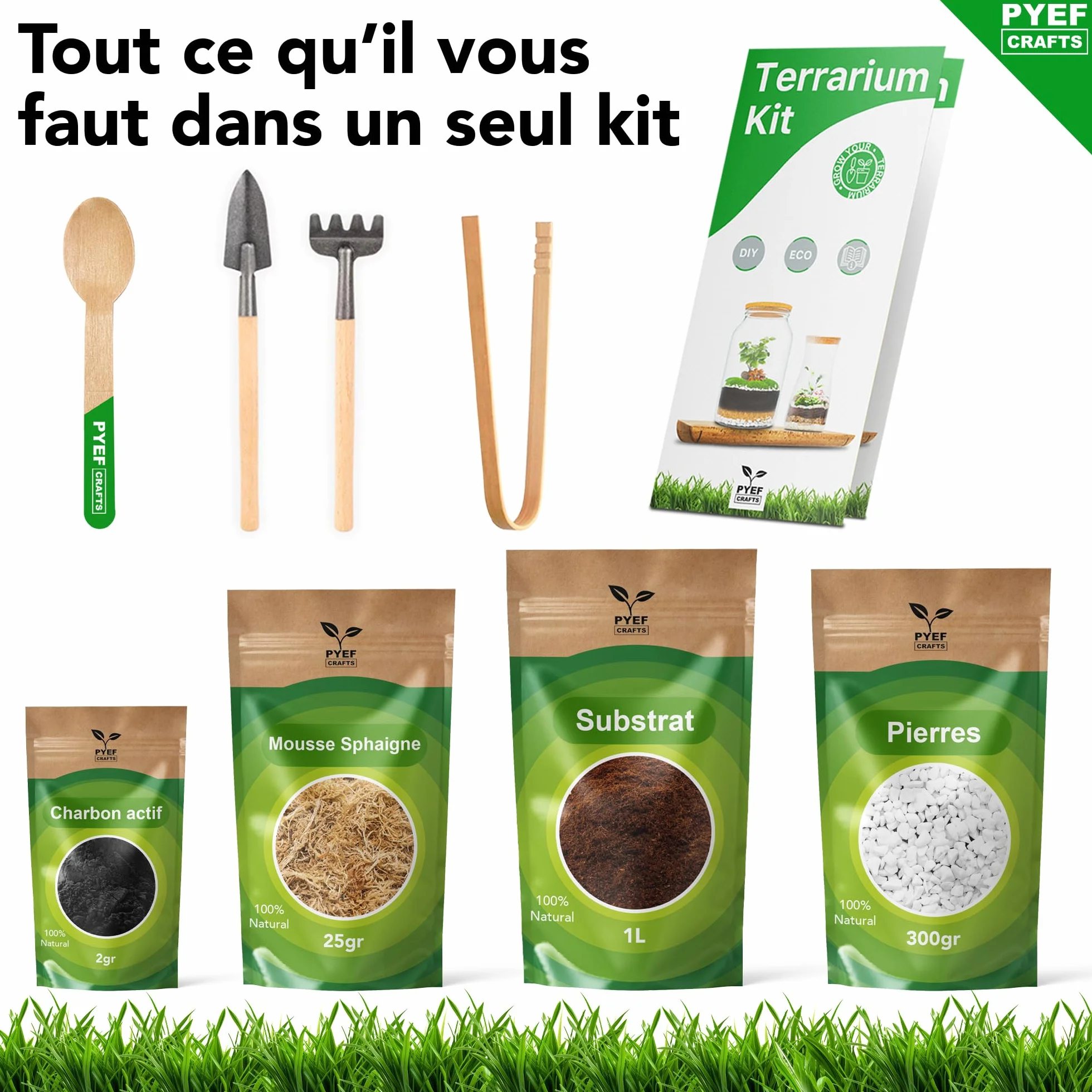 Kit Terrarium Plante DIY Prêt-à-Pousser Jardin en Bouteille XL