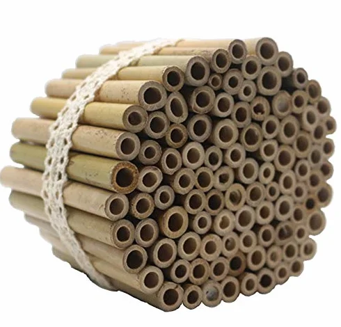 Lot de 100 tubes en bambou 10 cm pour hôtel à insectes abeilles sauvages