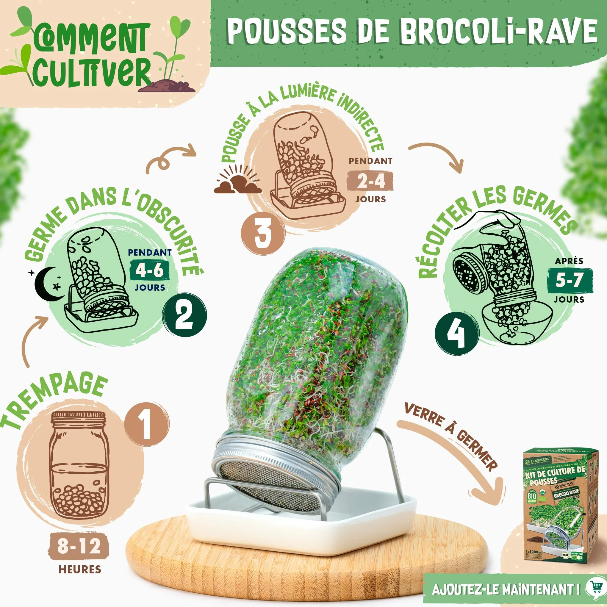 Graines de brocoli bio ZenGreens - Microgreens - 10g, 200g, 500g - Taux de germination 97%