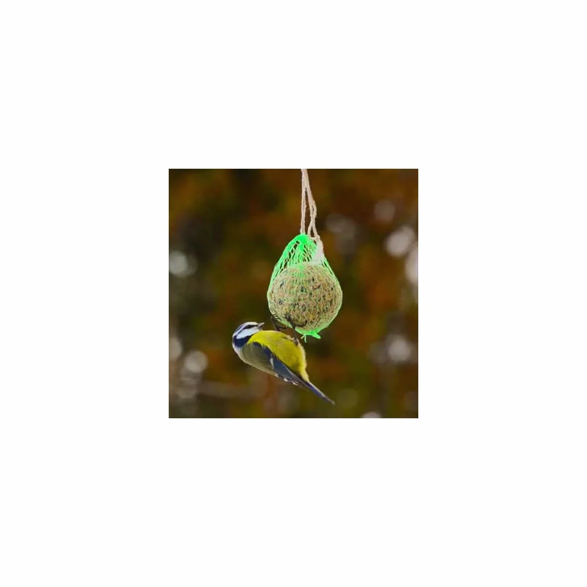 Bavicchi Boules de graisse pour oiseaux sauvages 6 x 90 g sans huile de palme
