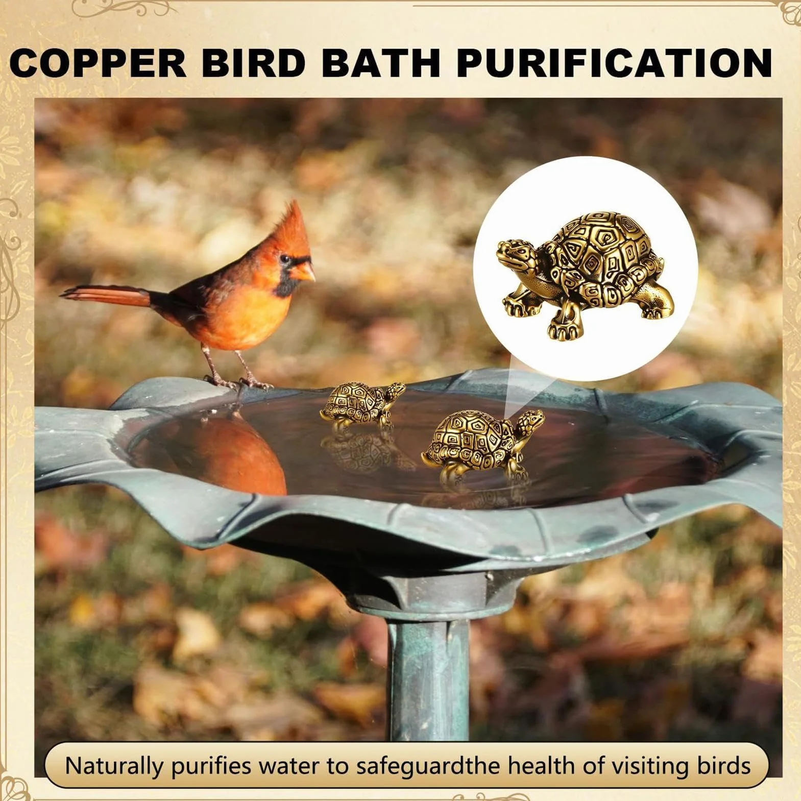 Pastilles nettoyantes pour bain d'oiseaux – Disques de purification minérale respectueuse de l'environnement