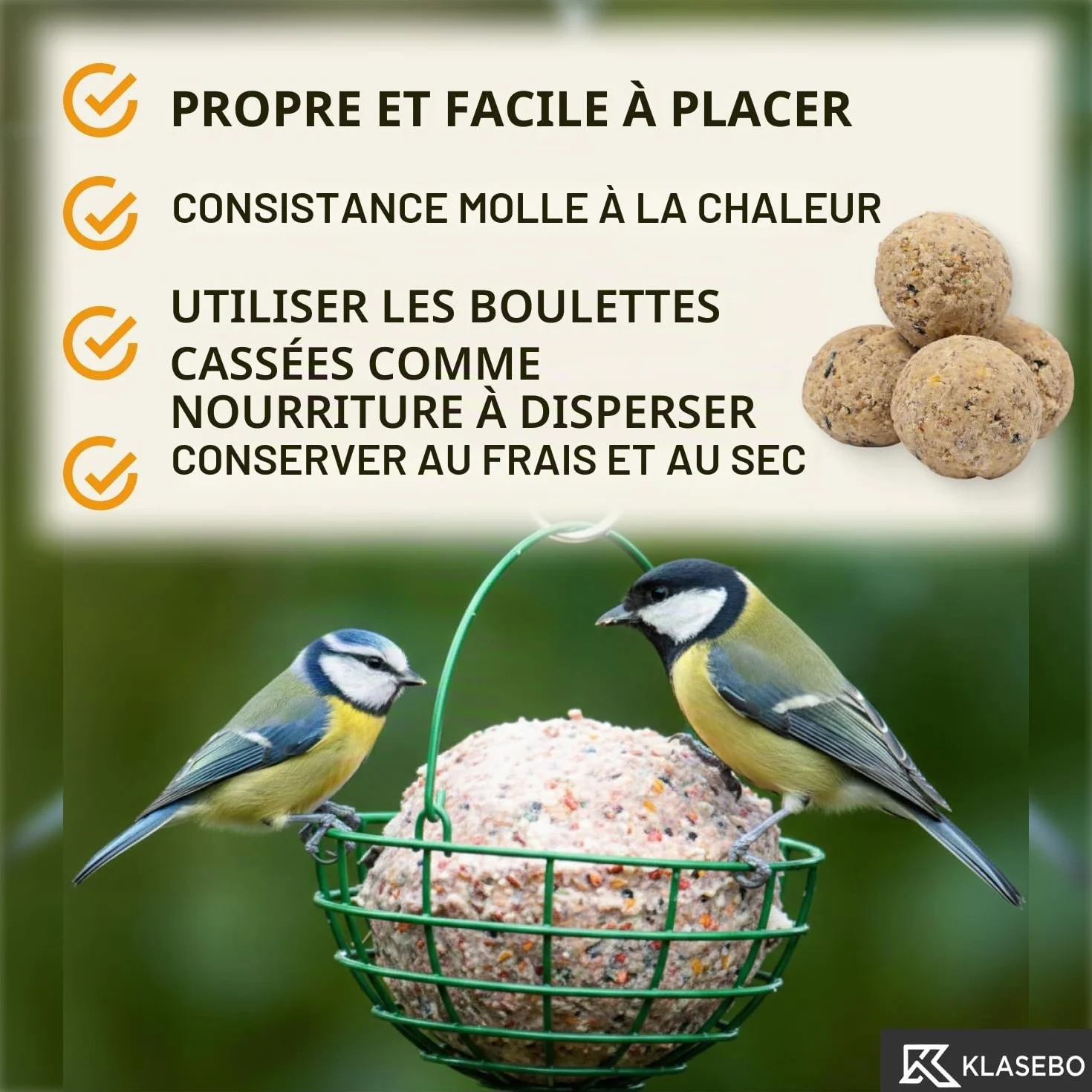 KLASEBO Boules de Graisse Oiseaux Premium avec Insectes 100 x 90 g