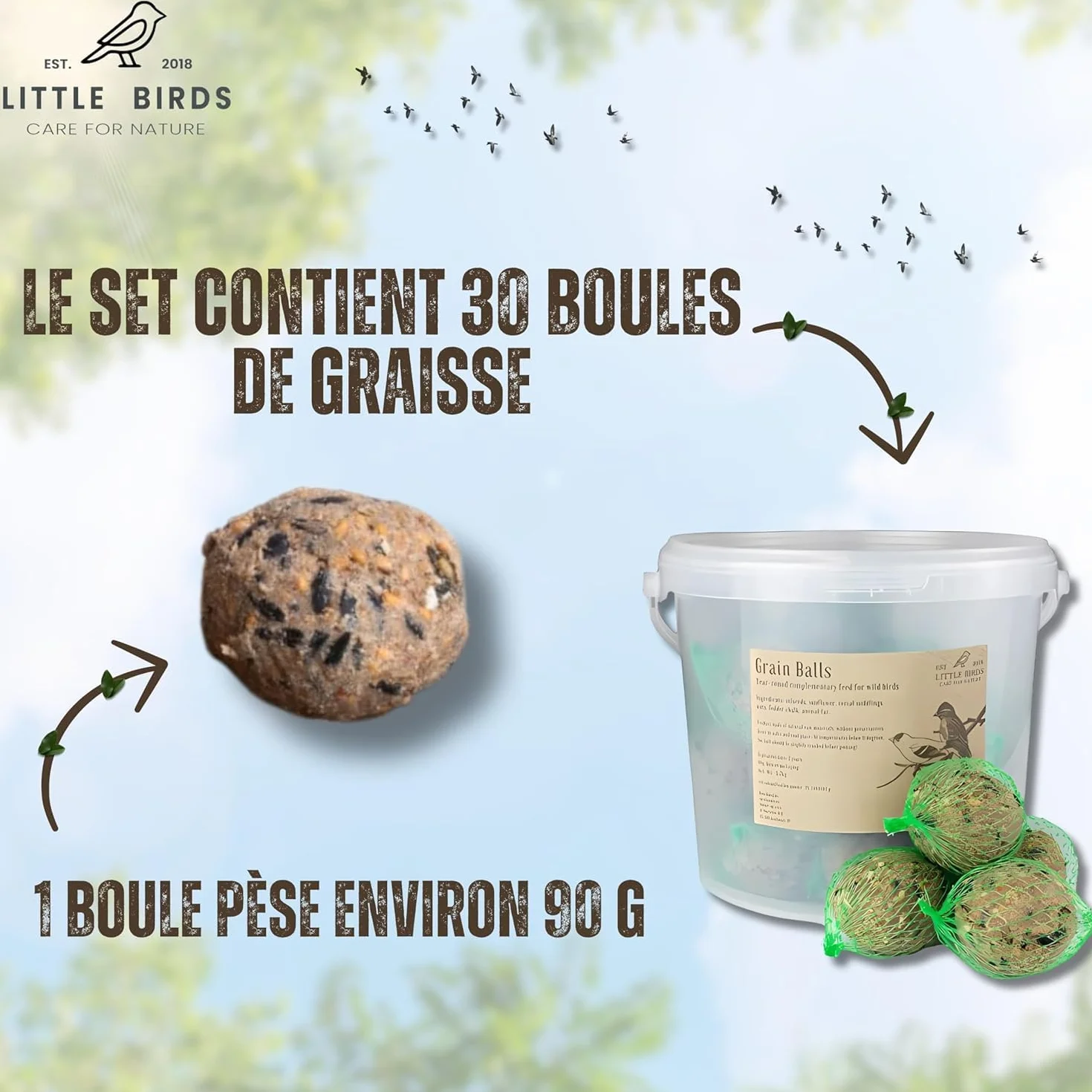 Care4Nature 60 Boules de Graisse Oiseaux du Jardin avec Mangeoire - Ingrédients Naturels