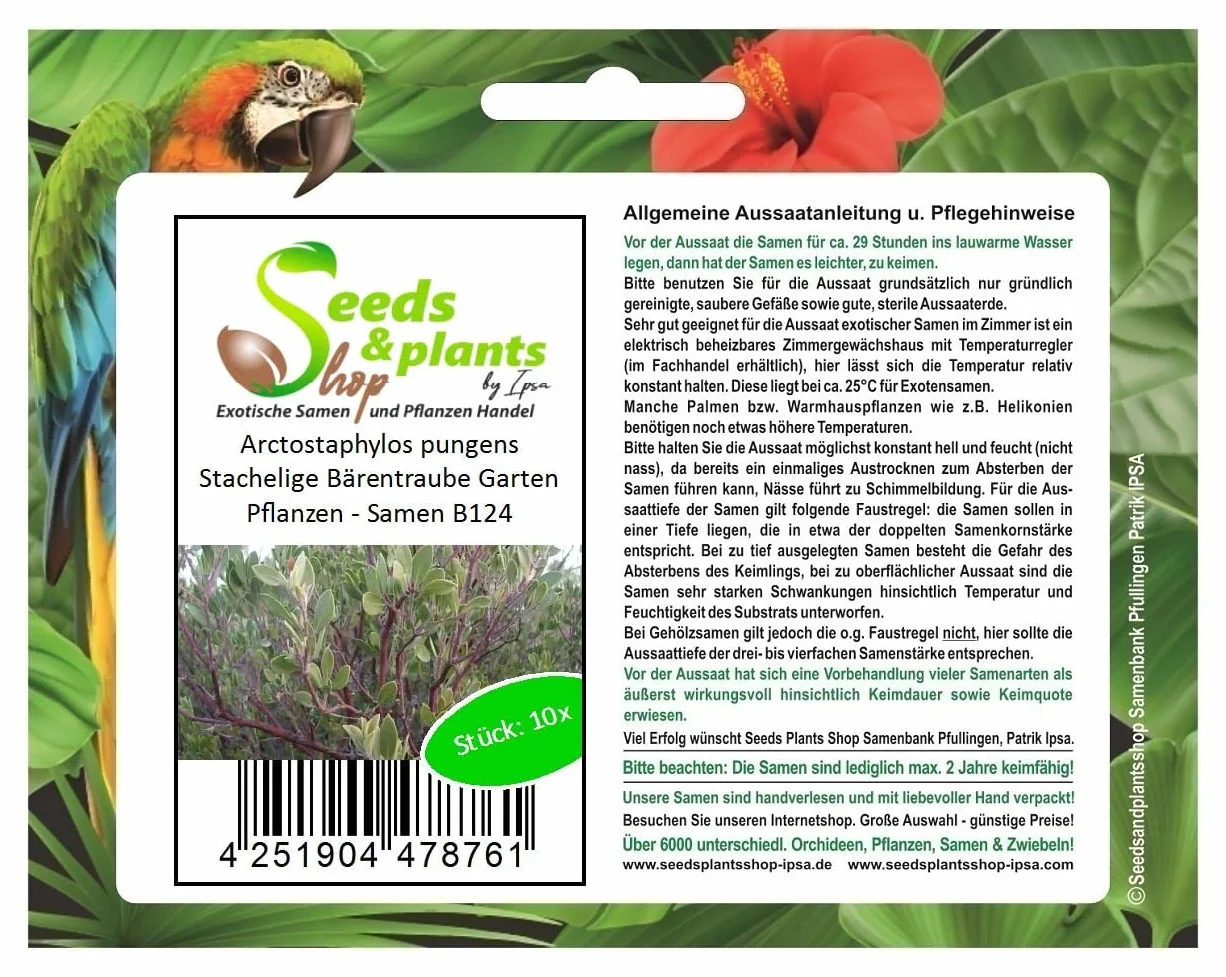 Arctostaphylos Pungens Stachelige Uva Ursi Graines B124