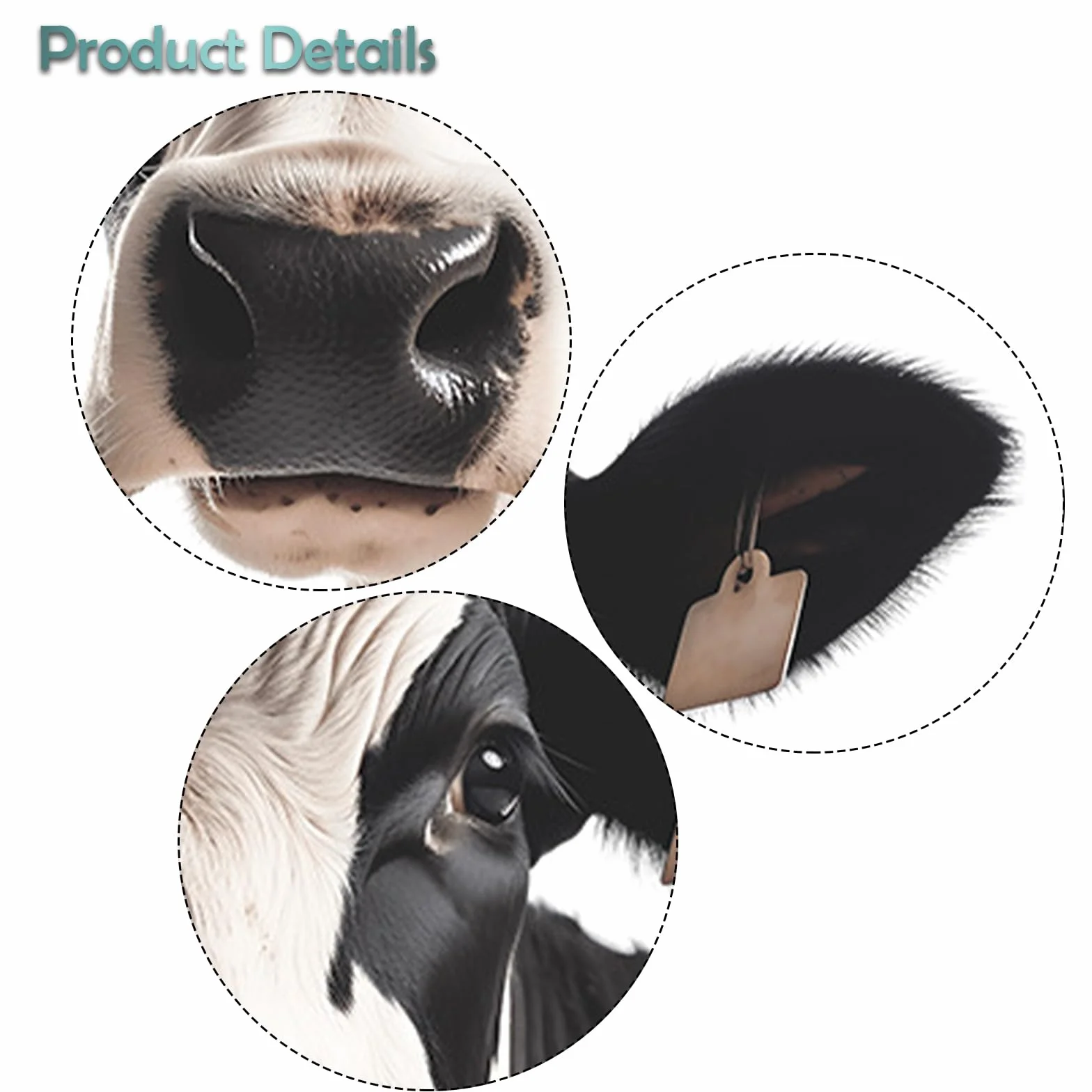 Autocollants Vache 3D 39x39cm Stickers Fenetre Animaux Pour Salon Chambre Voiture