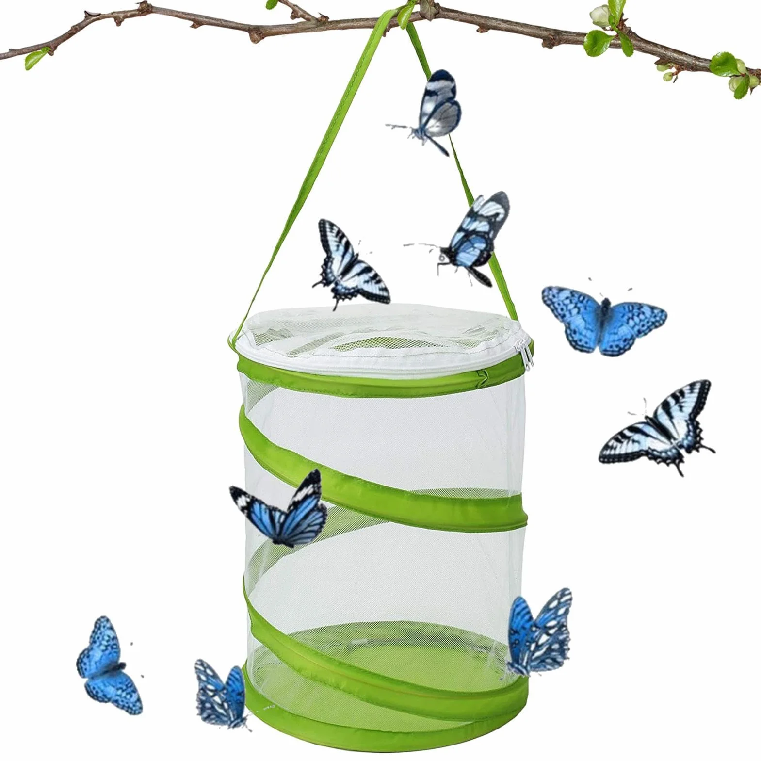 Cage à insectes pliable - Cage papillon d'élevage et de reproduction