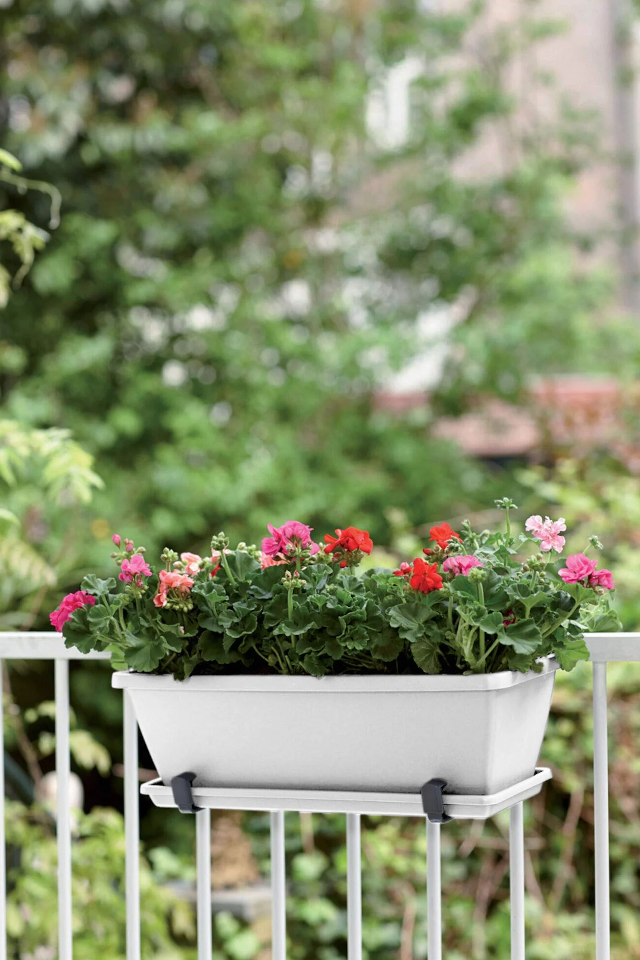 Elho Barcelona Balconnière 50 Planteur Plastique Recyclé Ø 49.8 x H 16.0 cm Blanc
