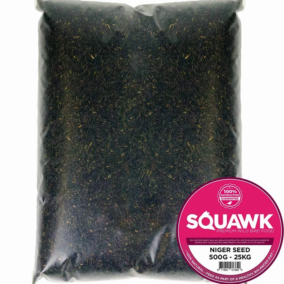 SQUAWK Graines de Niger pour Oiseaux Sauvages Haute énergie 500g
