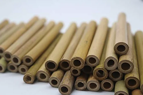 Lot de 100 tubes en bambou 10 cm pour hôtel à insectes abeilles sauvages