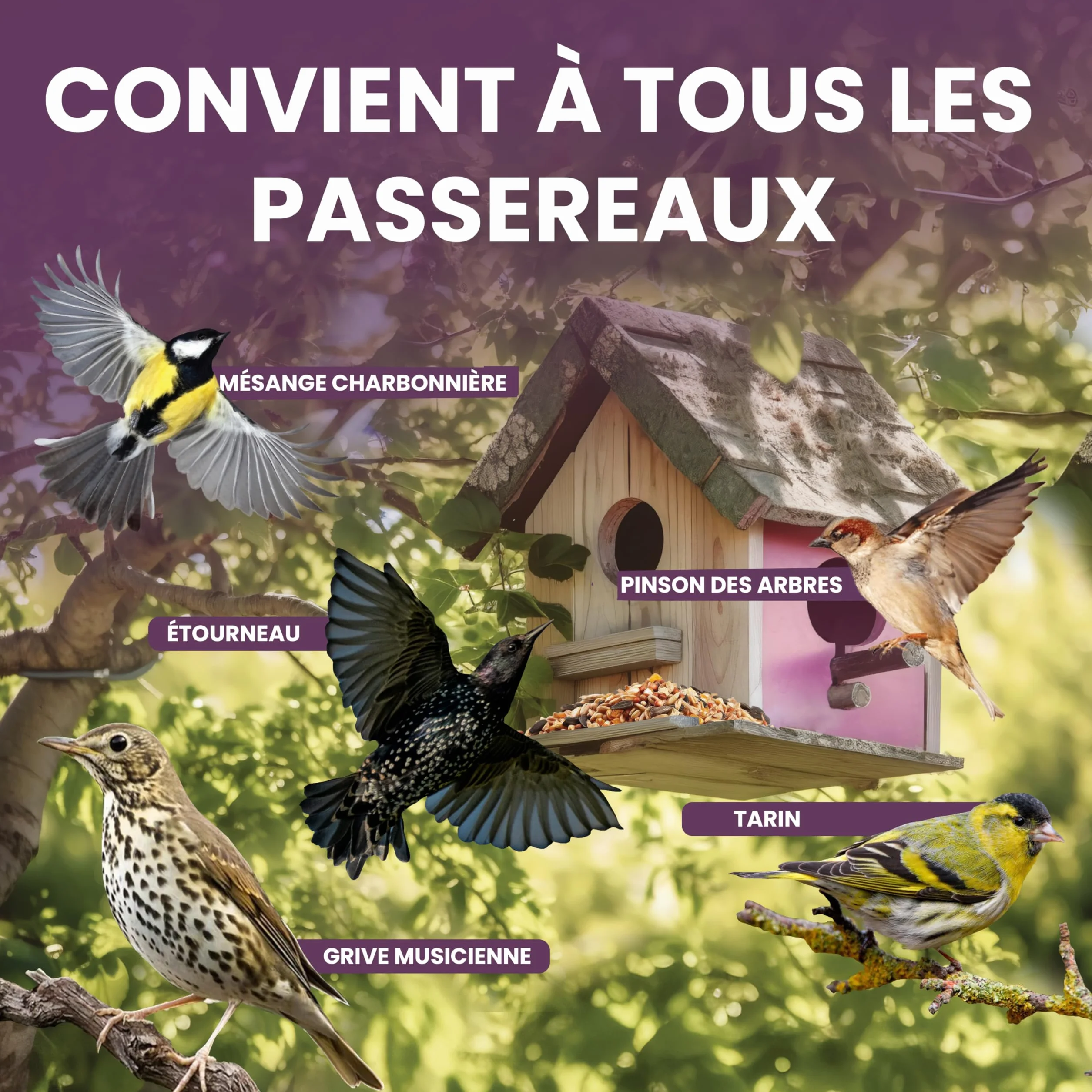 Graines Oiseaux Sauvages 1,7kg Mélange Nourriture Oiseaux Exterieur Jardin Hiver