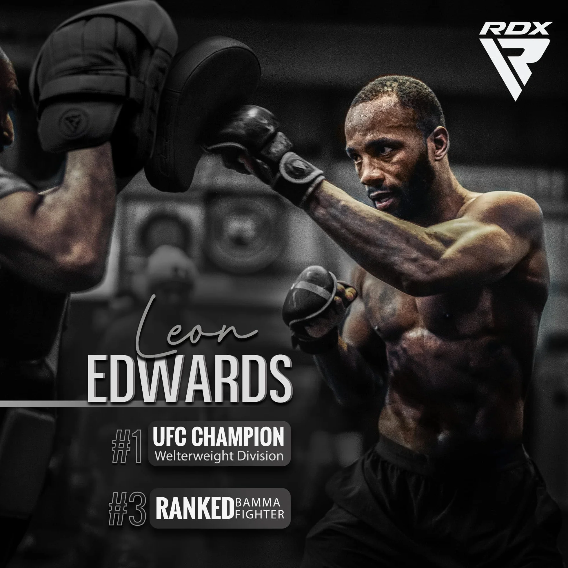 RDX Pattes d'ours Boxe MMA Incurvé Art Martiaux Bouclier Pao Muay Thai Kick Boxing Bouclier de Frappe Maya Hide Cuir Kara Cible D'entraînement Mitaines Focus Pads Sports de Combat Taekwondo Noir