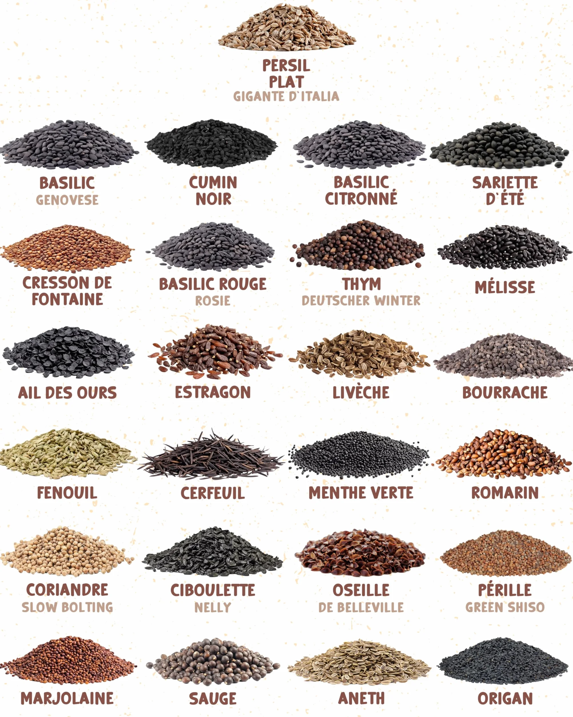 Kit de graines de herbes aromatiques bio 25 variétés ZenGreens® pour jardin balcon jardinière
