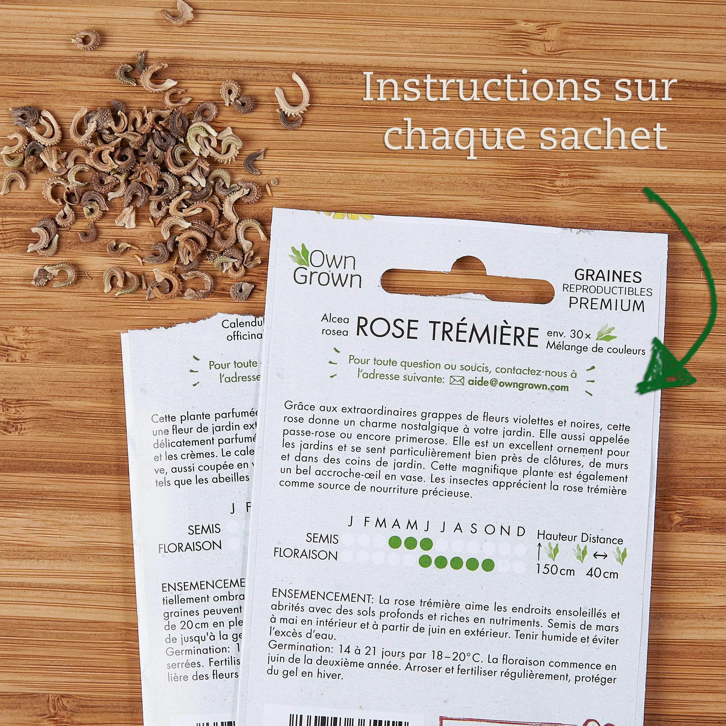 OwnGrown 10 variétés de semences de fleurs comestibles - Kit prêt-à-pousser pour jardin et balcon