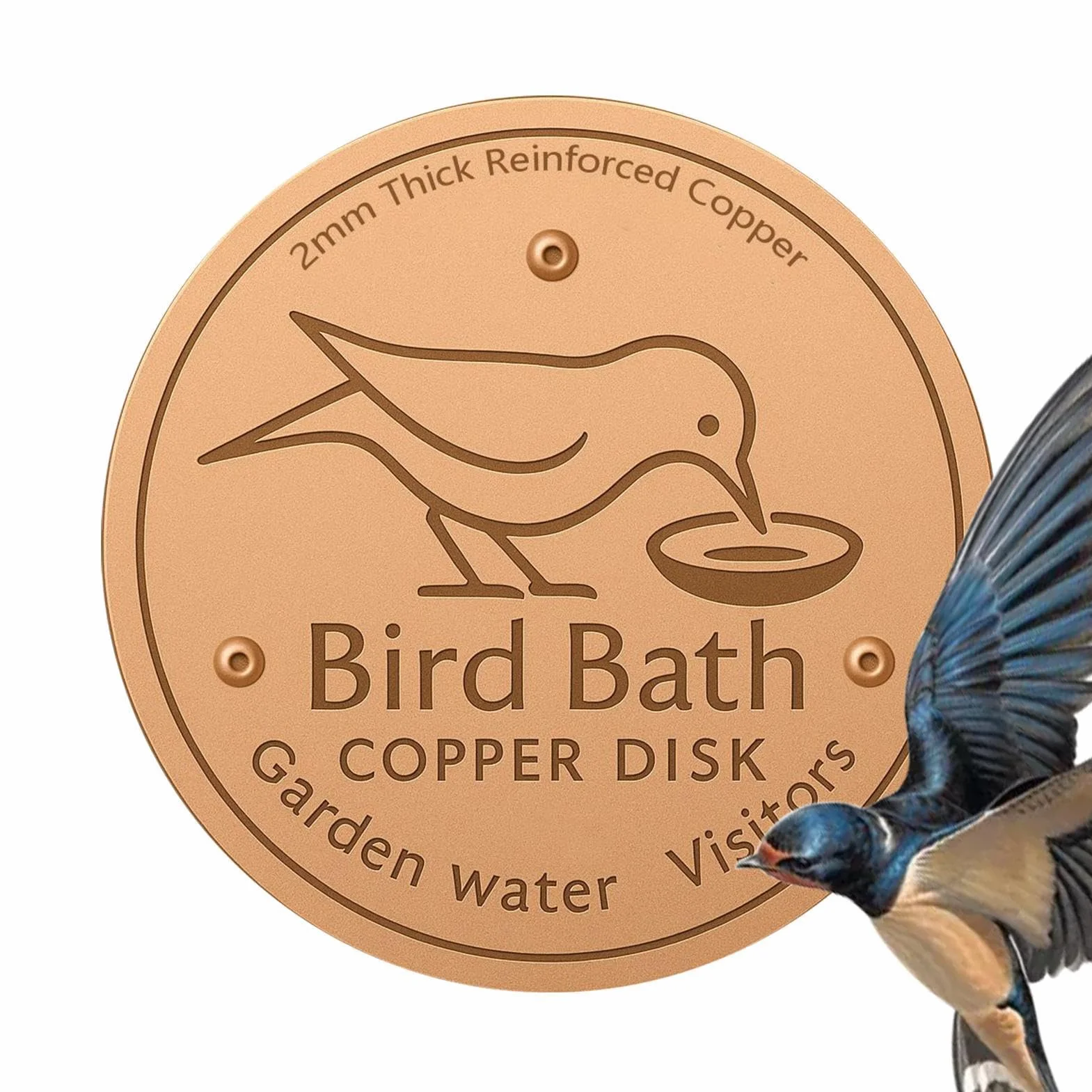 Disque en Cuivre Abreuvoir 10x10cm Purification Bain d'oiseaux avec Support Triple Point