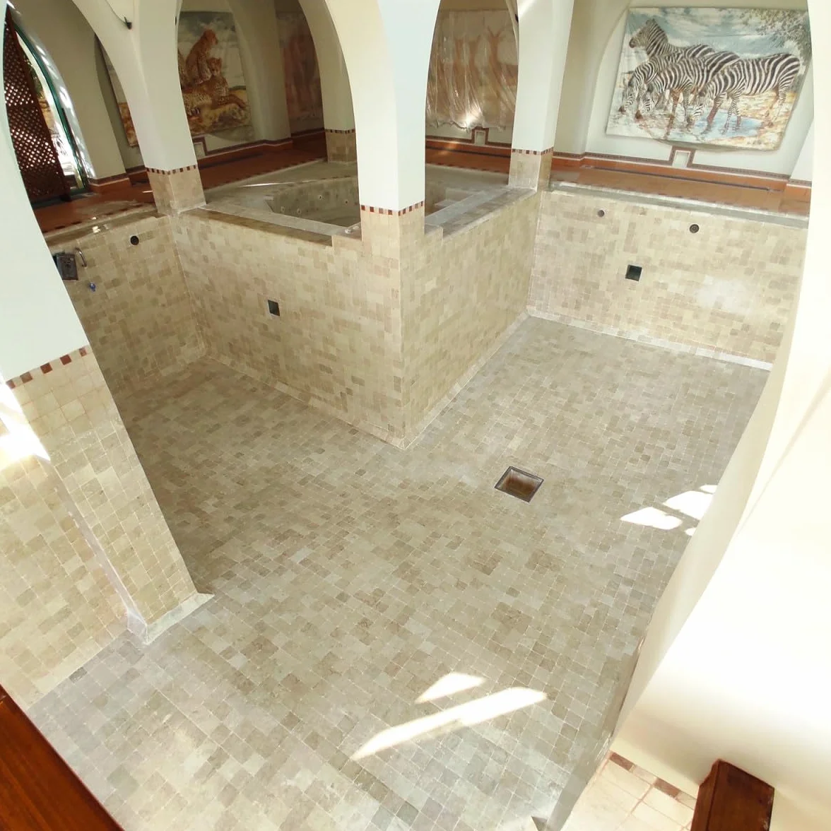 Resine transparente etancheite piscine carrelee 5 m² support poreux ARCANE INDUSTRIES