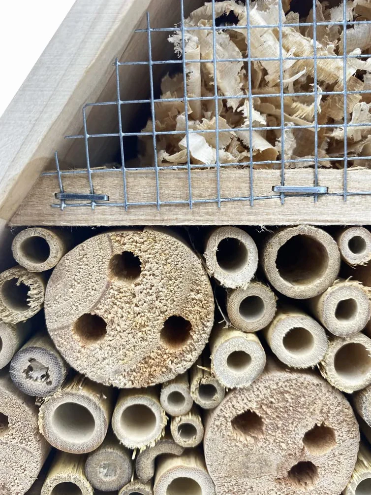 Hôtel à Insectes