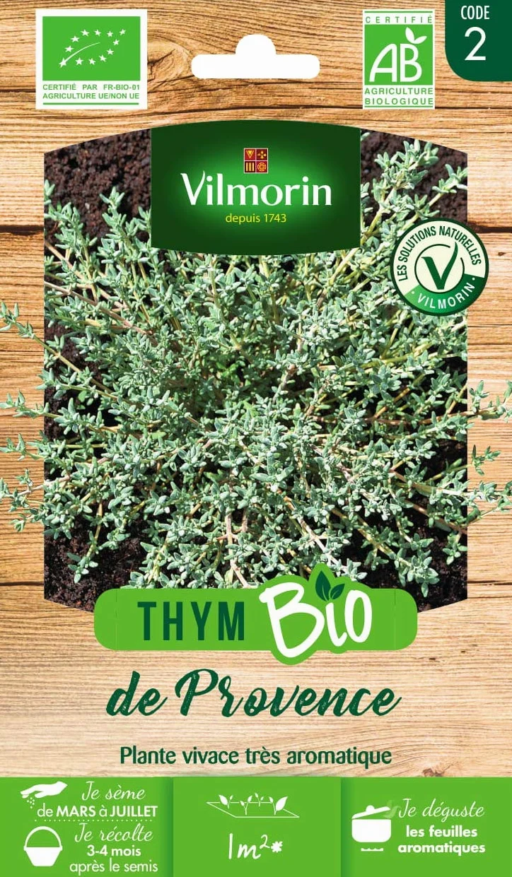 Vilmorin Thym de Provence Bio Plante aromatique bisannuel