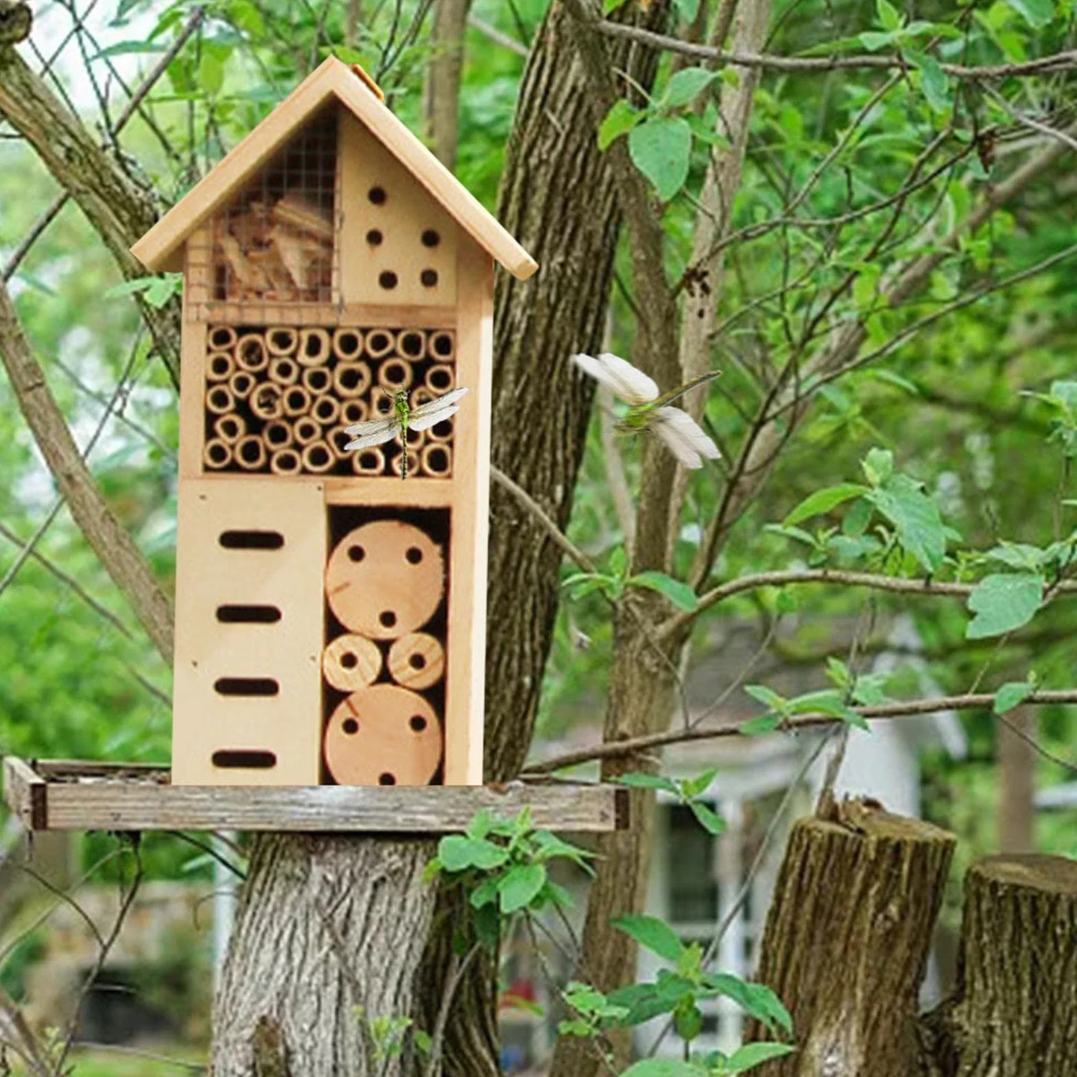 Pekoluta Maison d'insectes en Bois Hôtel pour Papillons Abeilles Coccinelles Habitat Suspendu Extérieur
