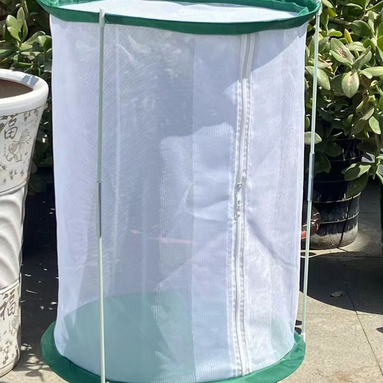 Maison Papillons Cage à Chenilles 30 x 40 cm avec Fermeture Éclair - Abri Pliant pour Élevage