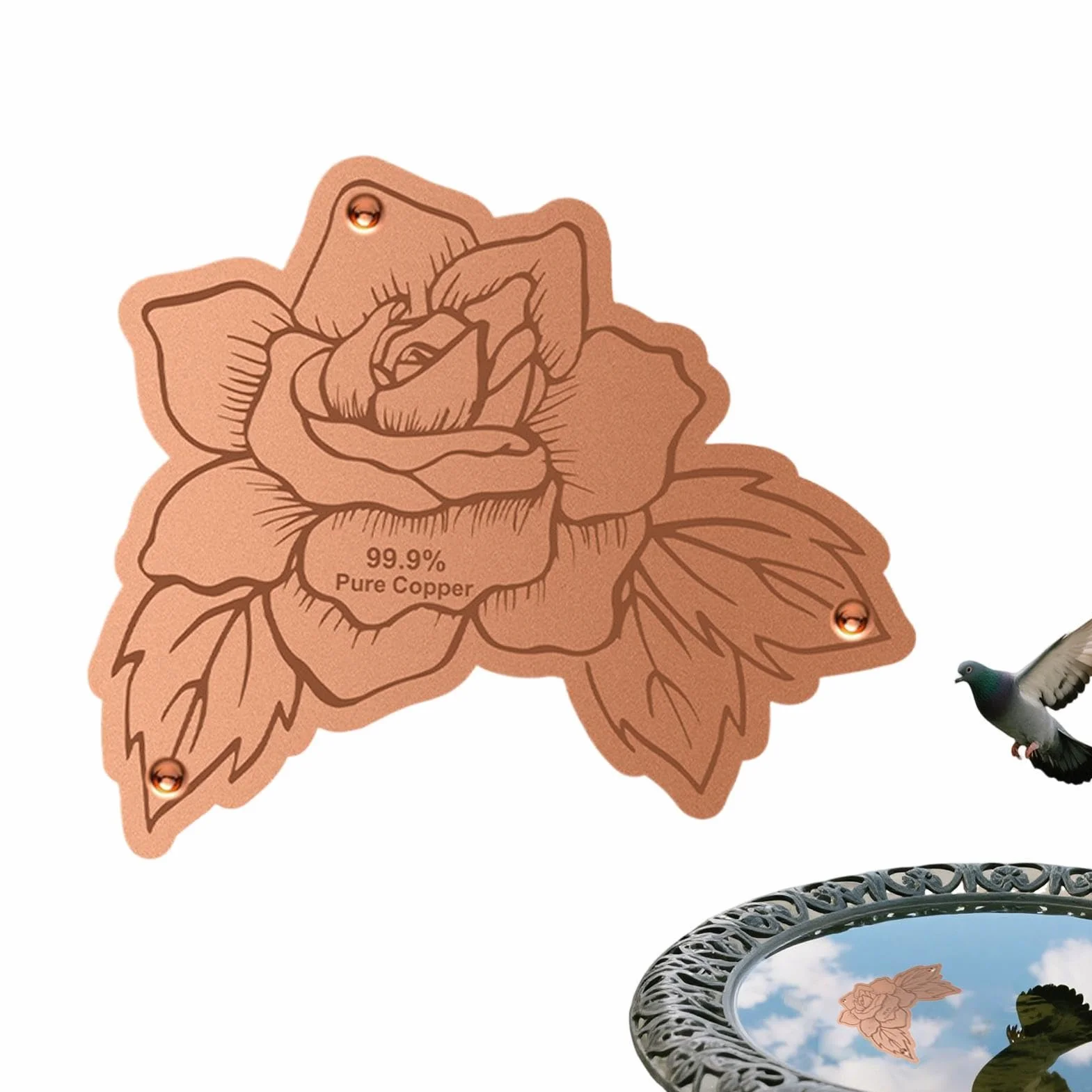 Disque en cuivre purificateur d'eau pour bain d'oiseaux - Extérieur Jardin