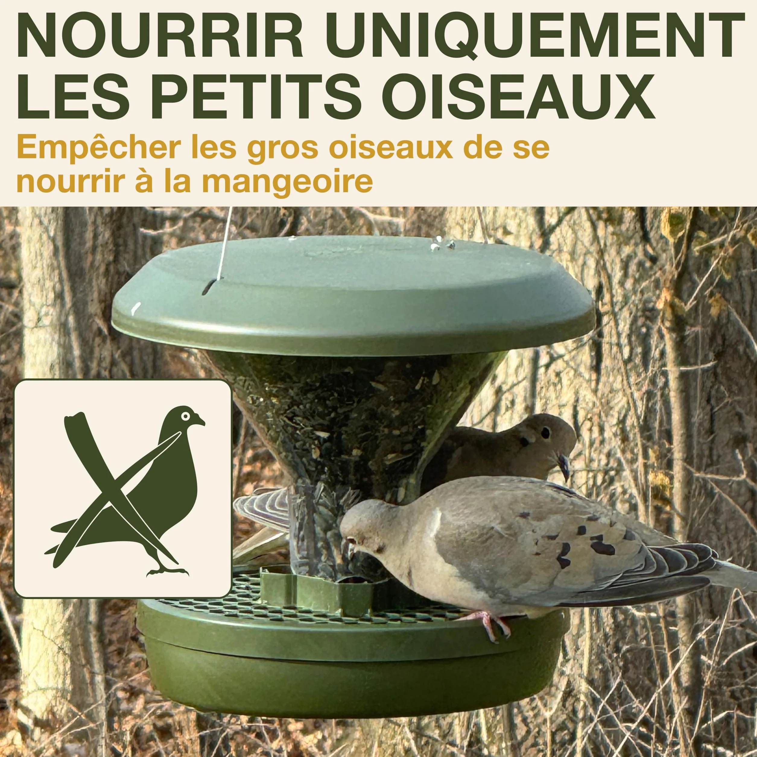 SWISSINNO Bloqueur de Grands Oiseaux pour Mangeoires Smart Birds Davos & Genève