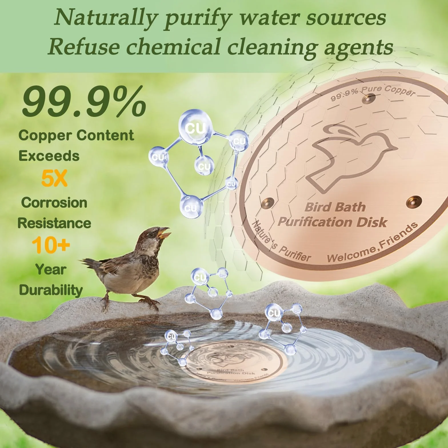 Disque de purification en cuivre 99,9% pur 0,6 mm épaisseur autonettoyant pour bain d'oiseaux