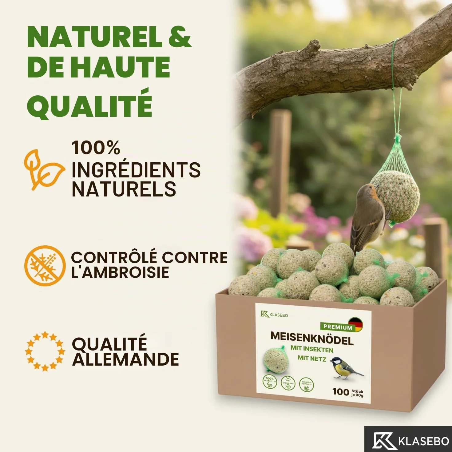 KLASEBO Boules de Graisse Oiseaux avec Insectes 100 x 90 g