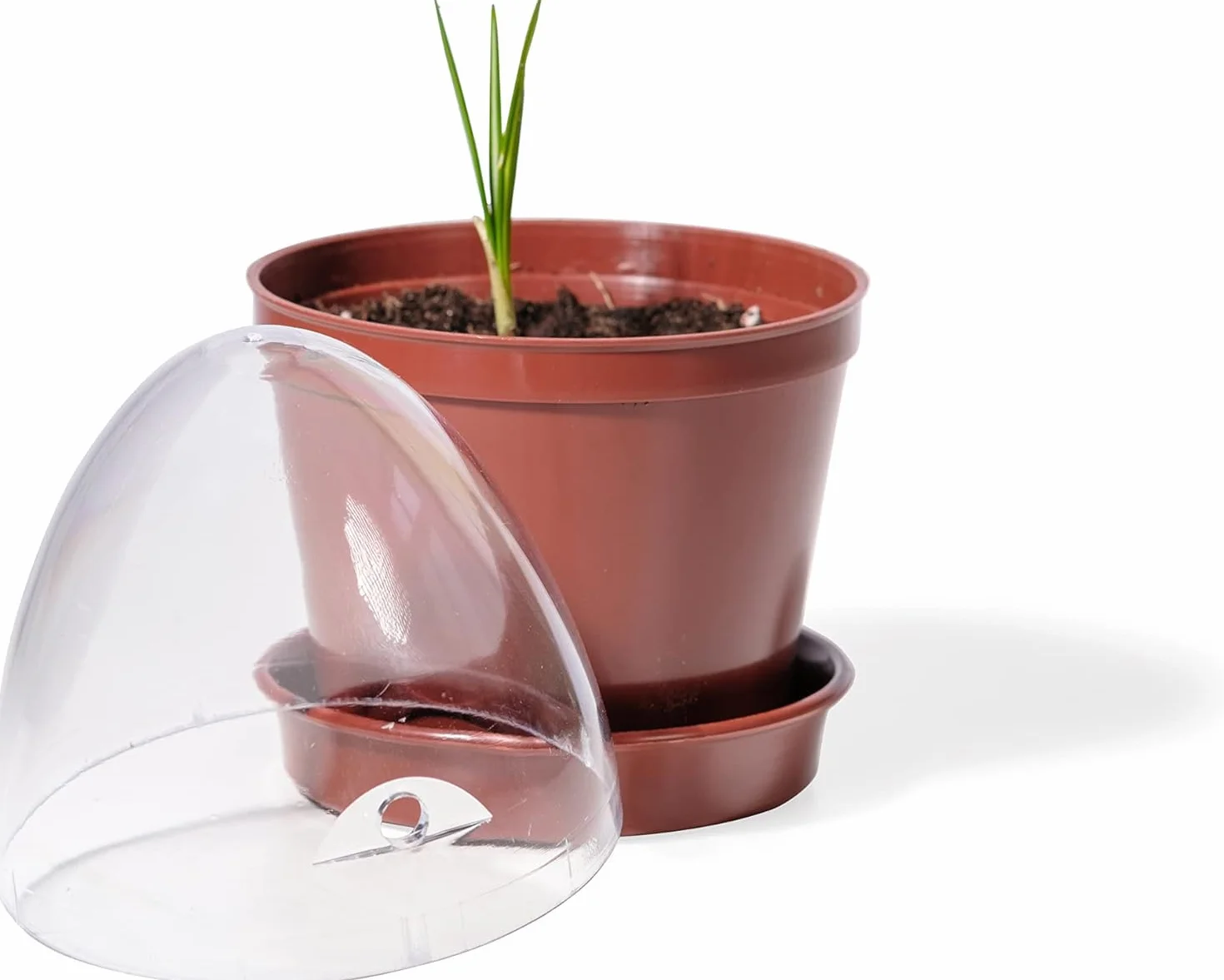 Kimmel Lot de 6 Pots de Culture avec Dôme d'Humidité, Marron