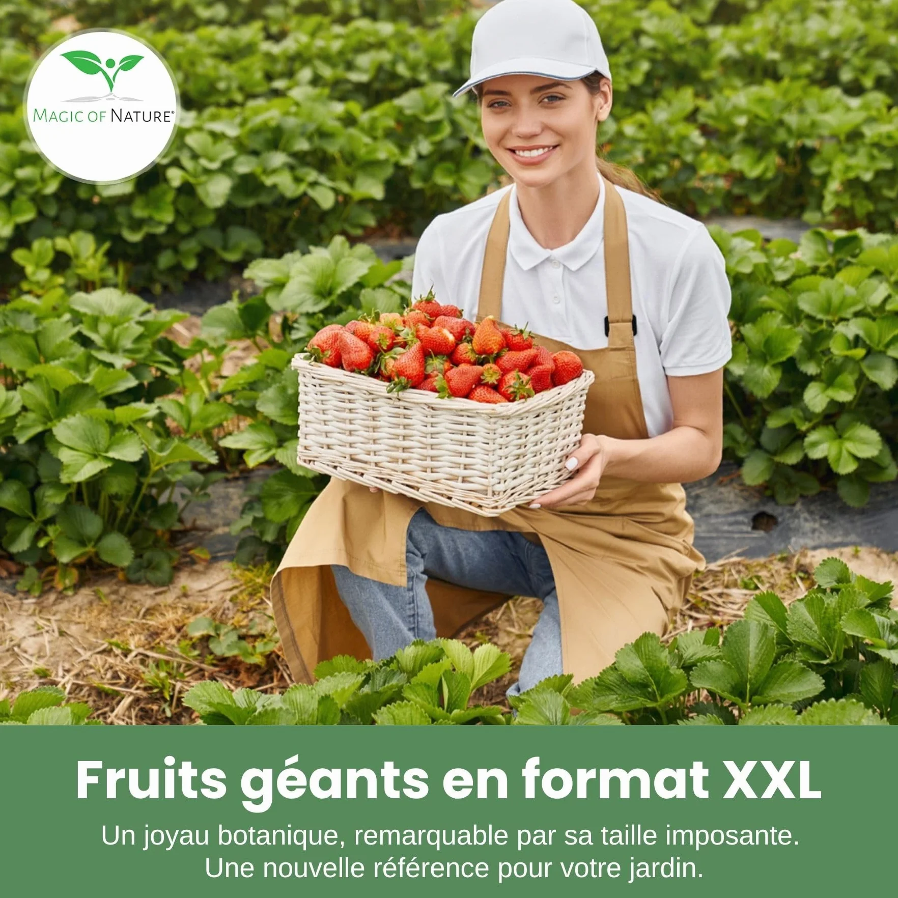 Graines de Fraises Géantes Giant 100 pcs – La plus grande fraise au monde – Fruits Sucrés – Rustique & Vivace