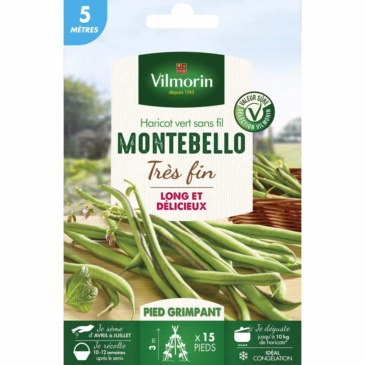 Haricot Grimpant Vert Montebello 5 m