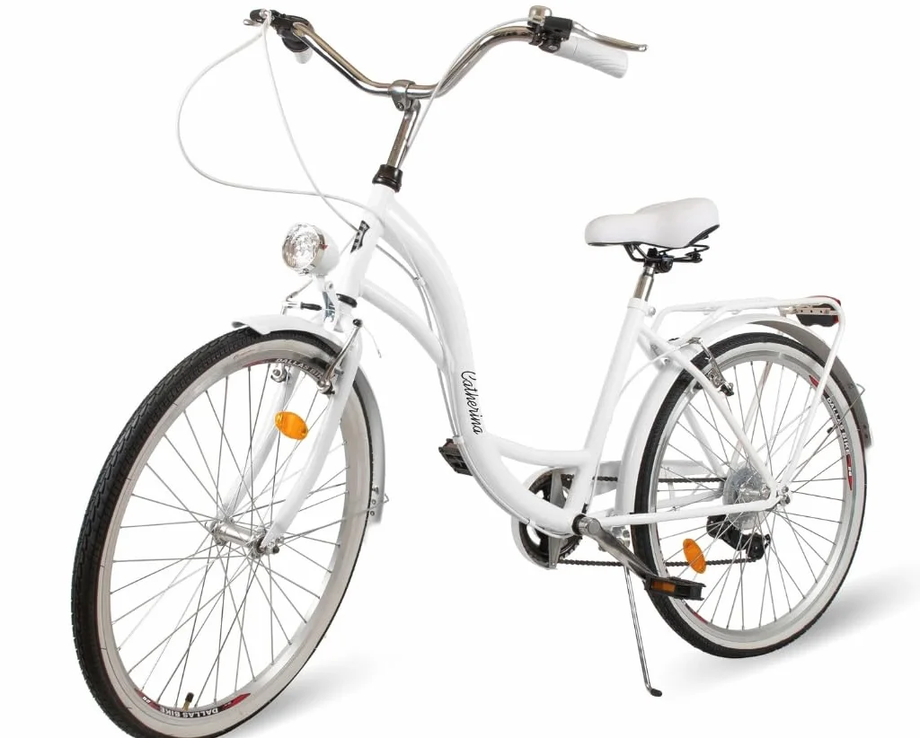 BDW Vélo de Ville 26" 7 Vitesses Cadre Acier Panier Osier Femme