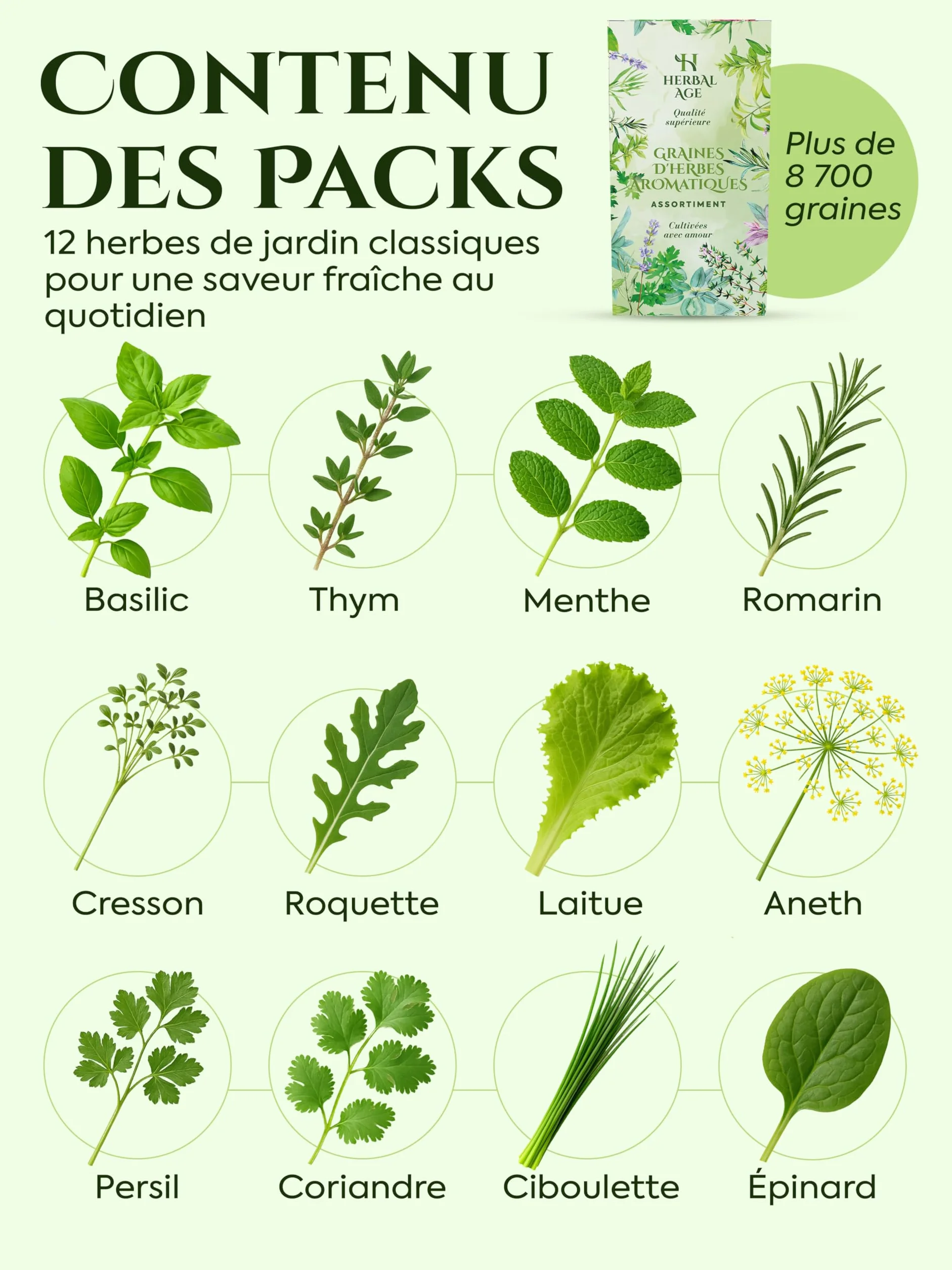 HERBAL AGE 12 Variétés de Plantes d'Herbes, 8700 Graines d'Herbes, Kit de Jardinieres Exterieur