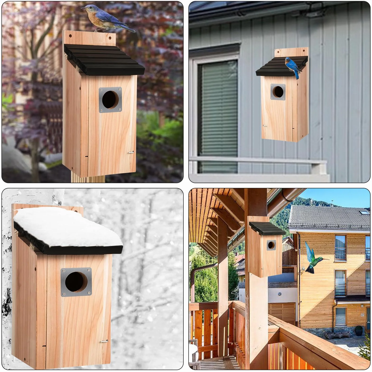 Nichoir pour oiseaux extérieur en bois résistant aux intempéries avec protection rapaces