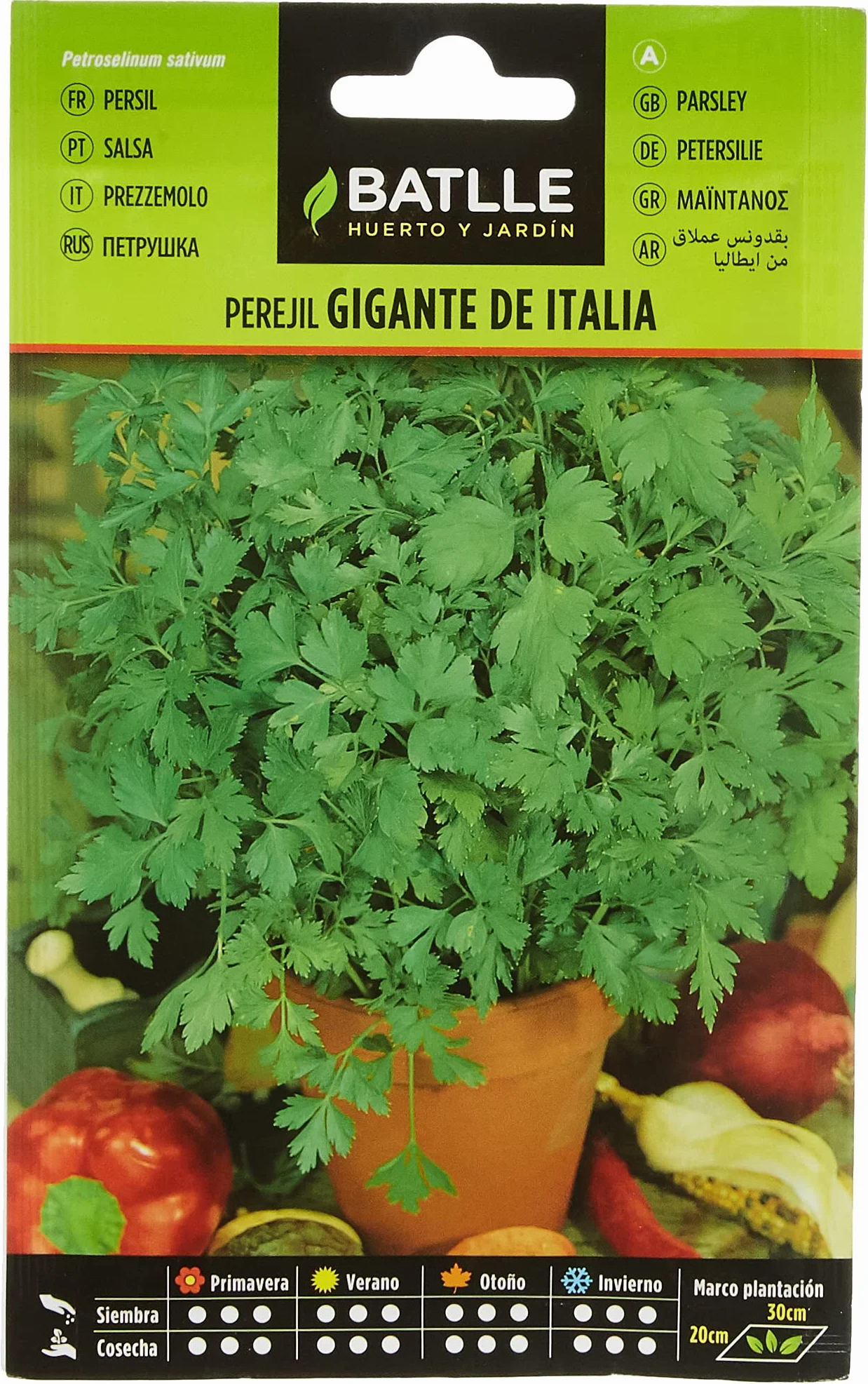 Batlle Graines aromatiques Persil géant d'Italie 9g