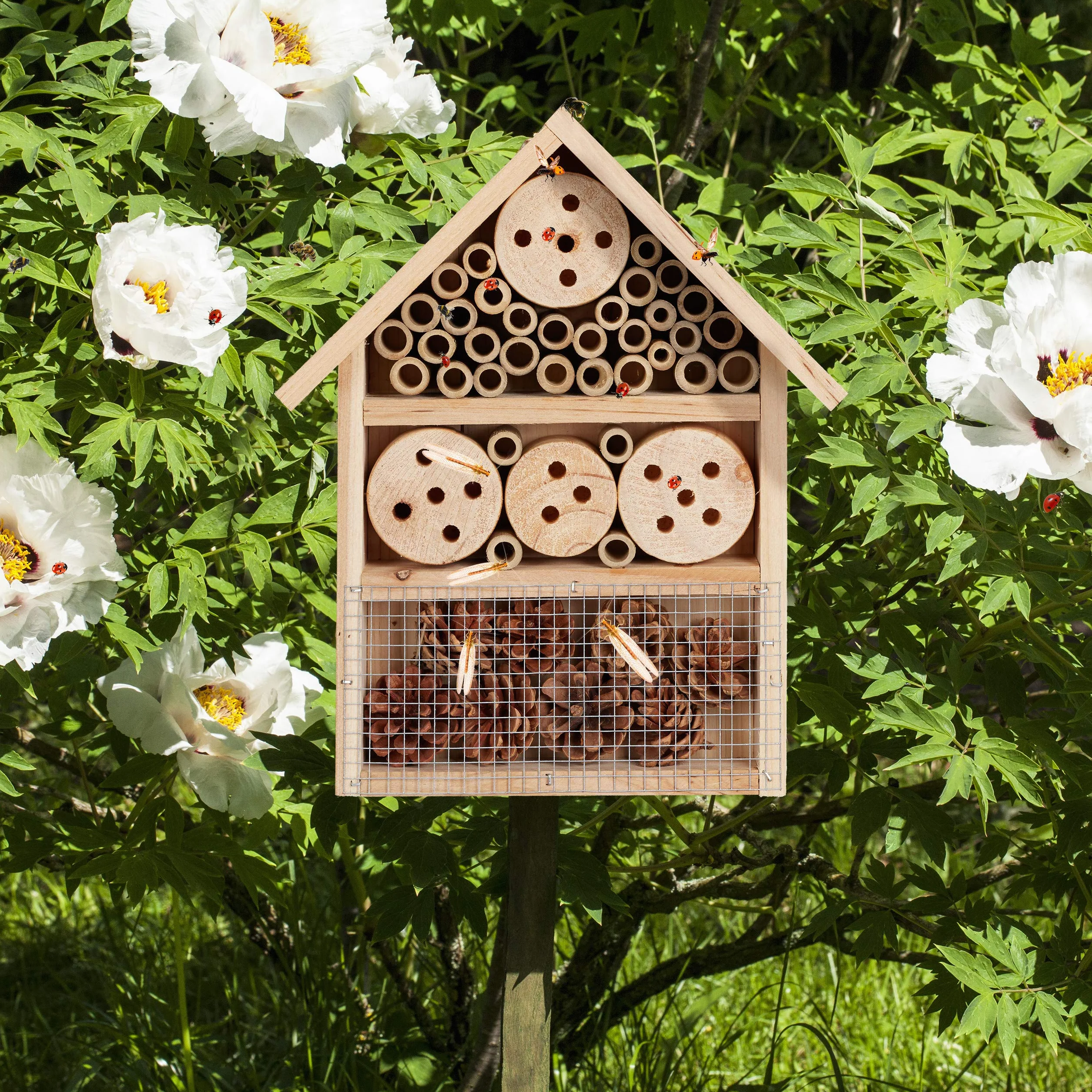 Relaxdays Nature Hôtel à Insectes Refuge Coccinelle à Monter 33 x 24,5 x 7 cm