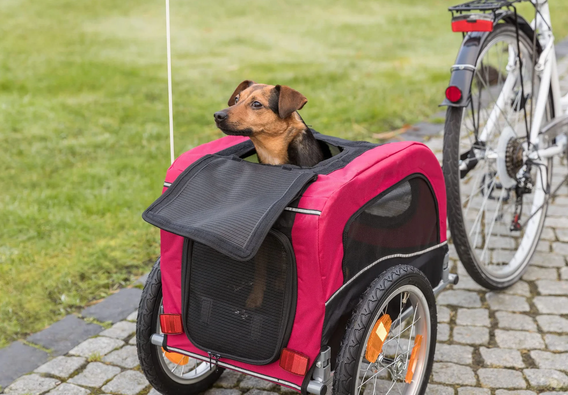 TRIXIE Pet Bike Trailer, Dog Bicycle Trailer, Foldable, Easy to Assemble