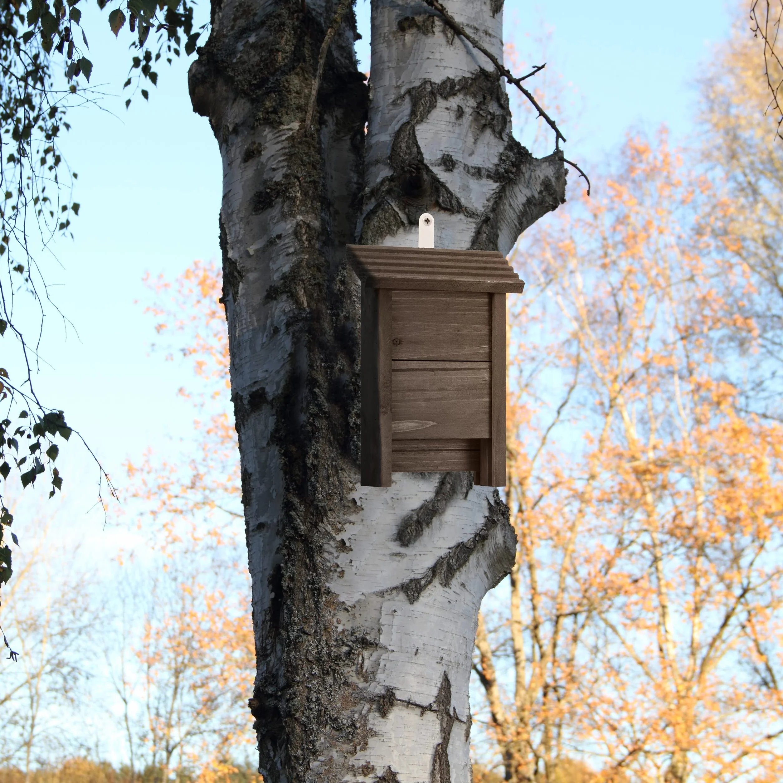 Relaxdays Abri à Chauves-Souris, Refuge Large 29x18x6 cm Bois Marron