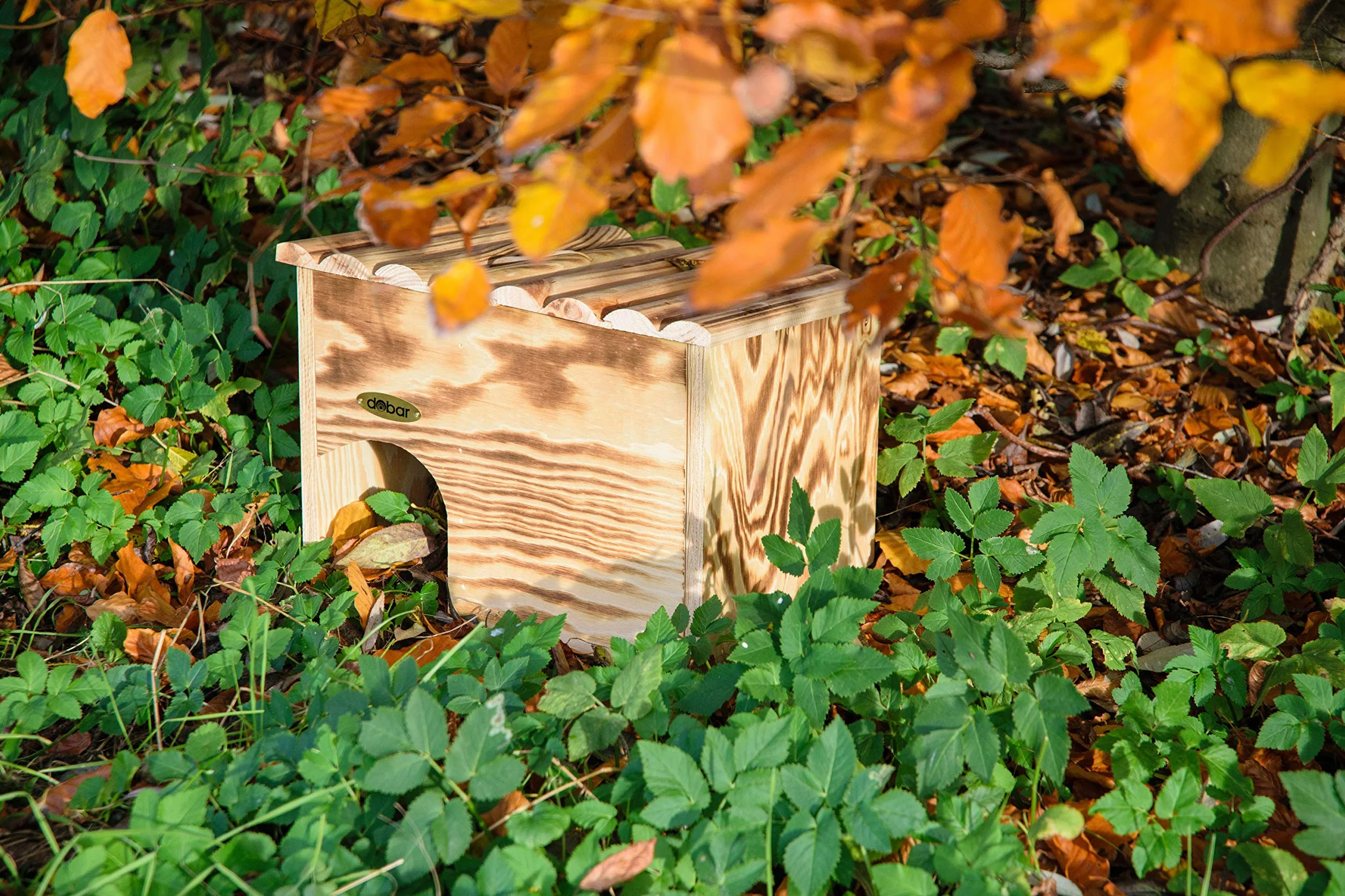 dobar Abri à hérissons en bois massif avec serrure 30,5 x 26,5 x 24 cm Flammée