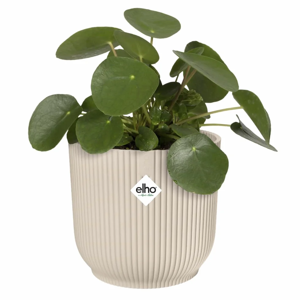 Elho Vibes Fold Rond 14 Pot De Fleurs Intérieur Plastique Recyclé Ø 14.1 x H 12.9 cm Blanc Linen White
