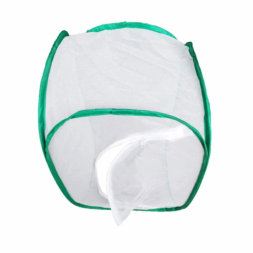 Habitat de Papillon Pliable Bug Catcher Insectes Cage de Plante Terrarium Pop-up pour Enfants Vert Grande Taille 40x40x60cm