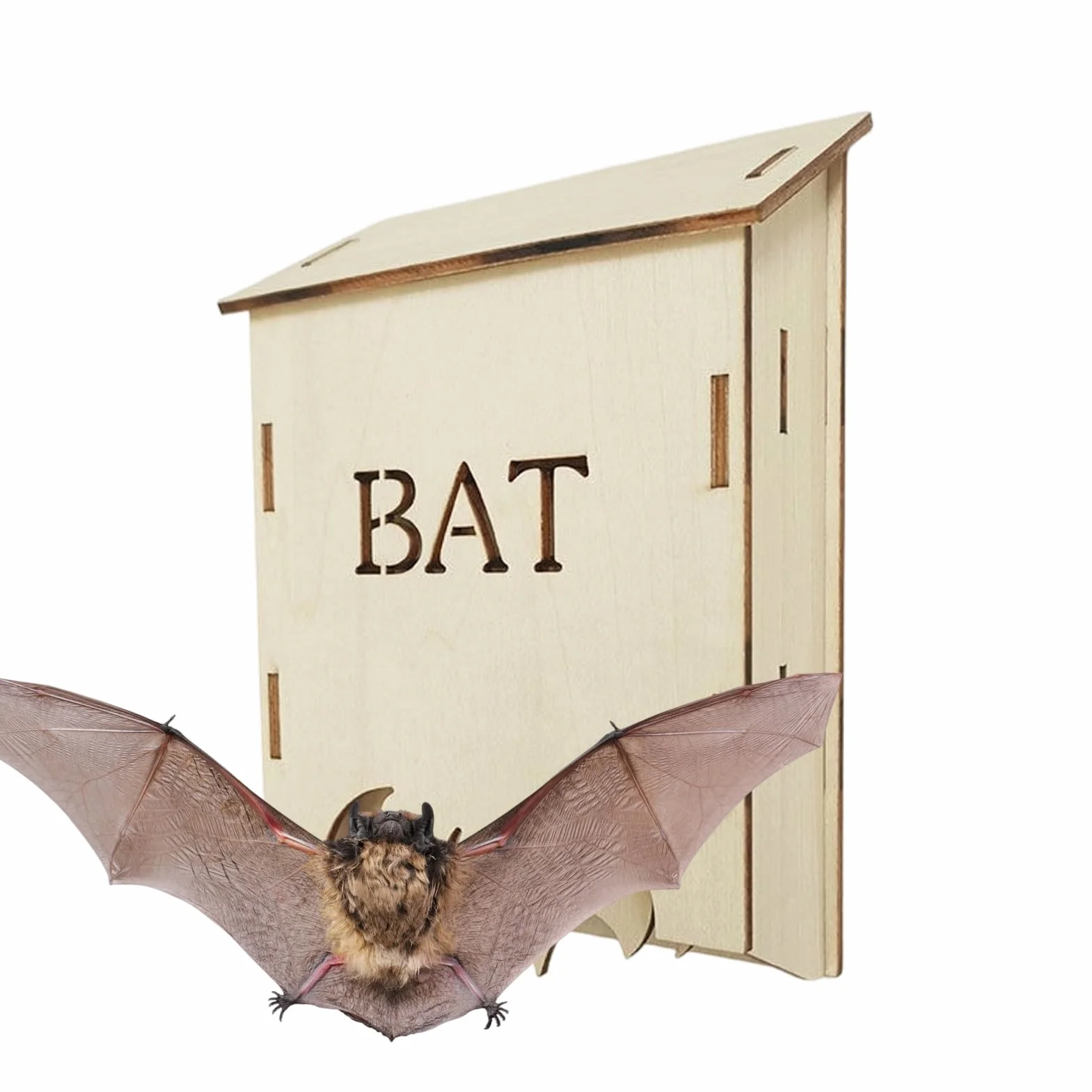 Maison pour Chauves-Souris en Bois résistant aux intempéries pour Jardin et Cour
