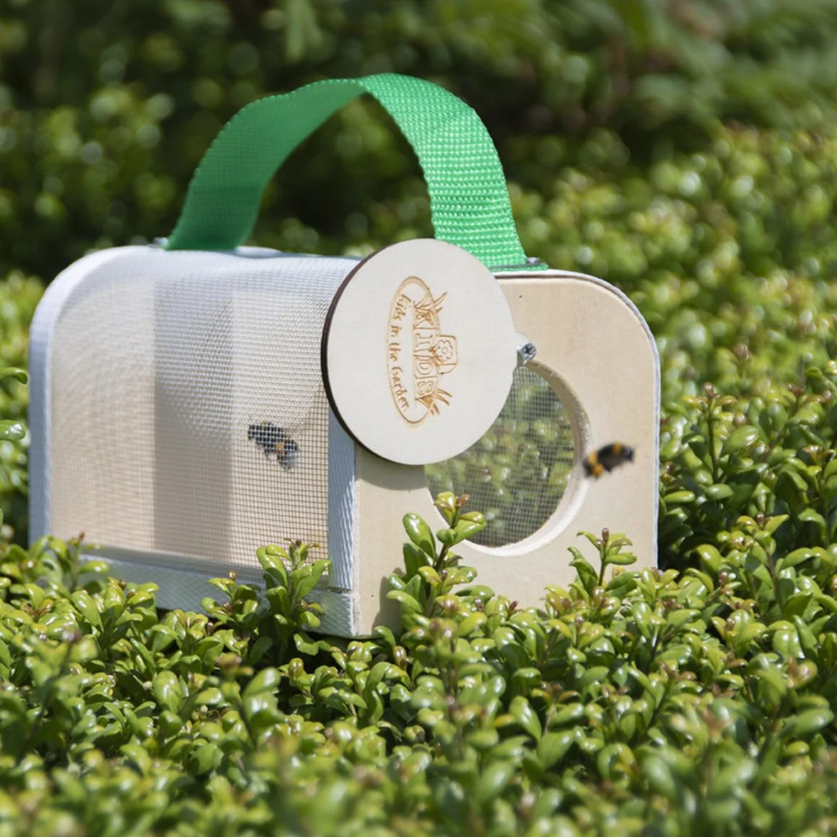 Esschert Design Boîte d'observation des Insectes Bois KG229