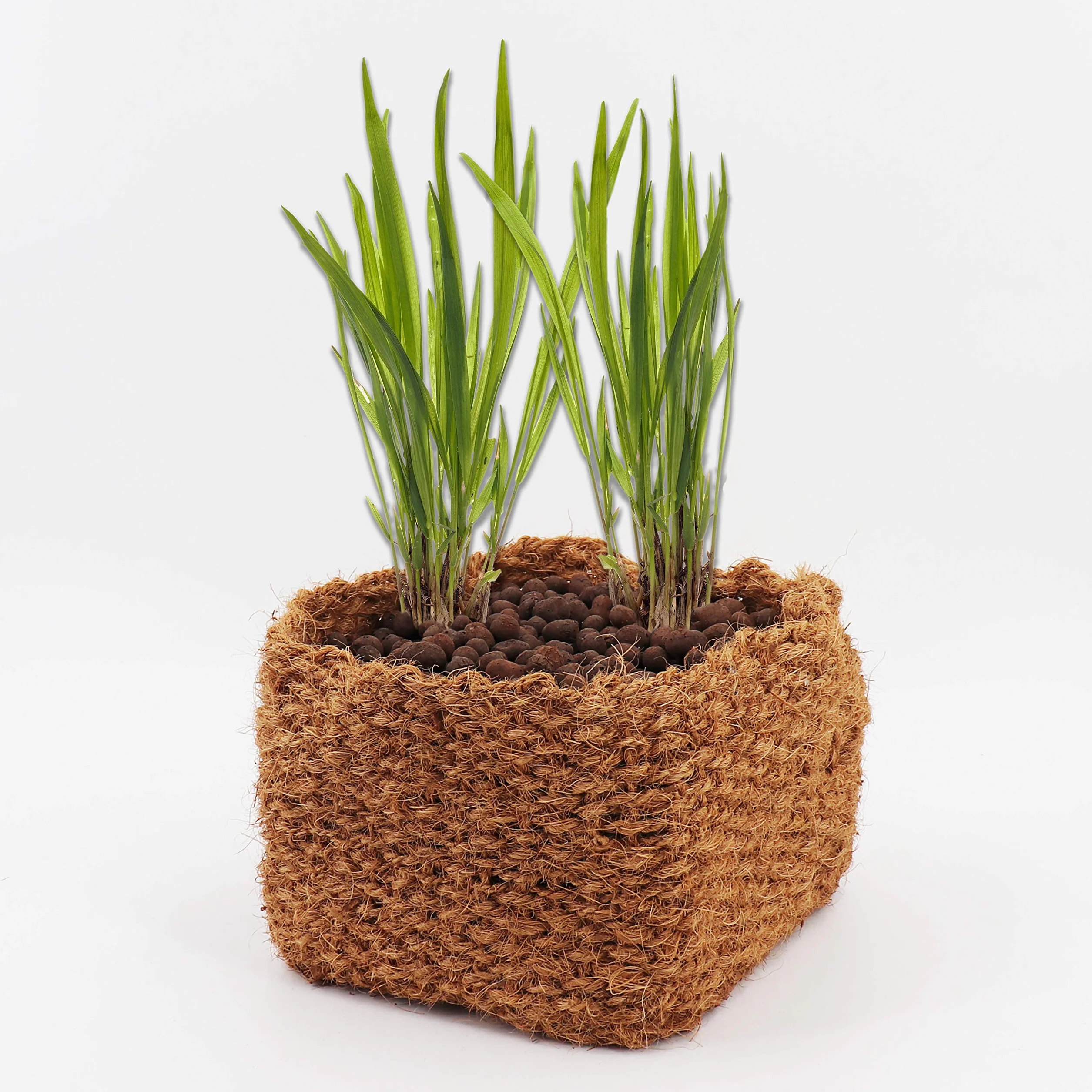 Panier de Noix de Coco 20 x 20 x 15 cm pour Étang Tapis de Rivage et Talus