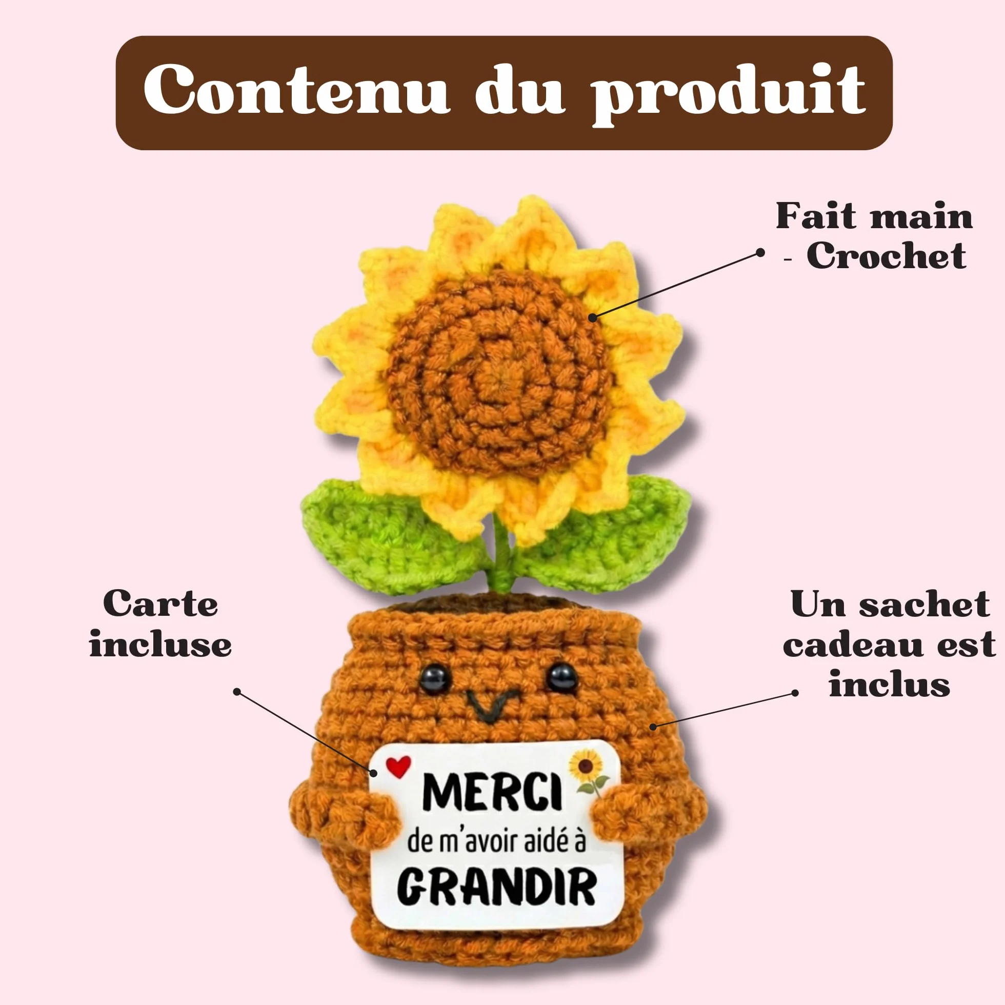 Cadeau Maitresse d’École Tournesol Crochet Merci de m’Avoir aidé à Grandir Fin d’Année Professeur Idée Cadeau Originale Remercier Enseignante