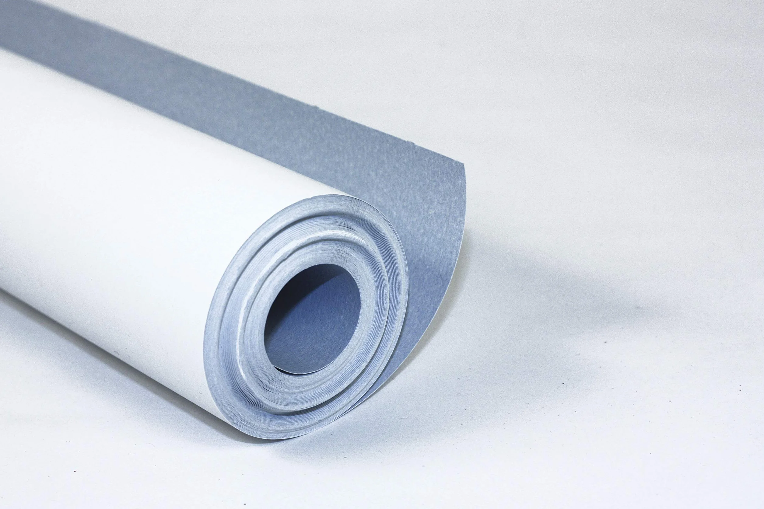 Clairefontaine 34161C Papier à peindre 10x1 m 120g blanc bleu