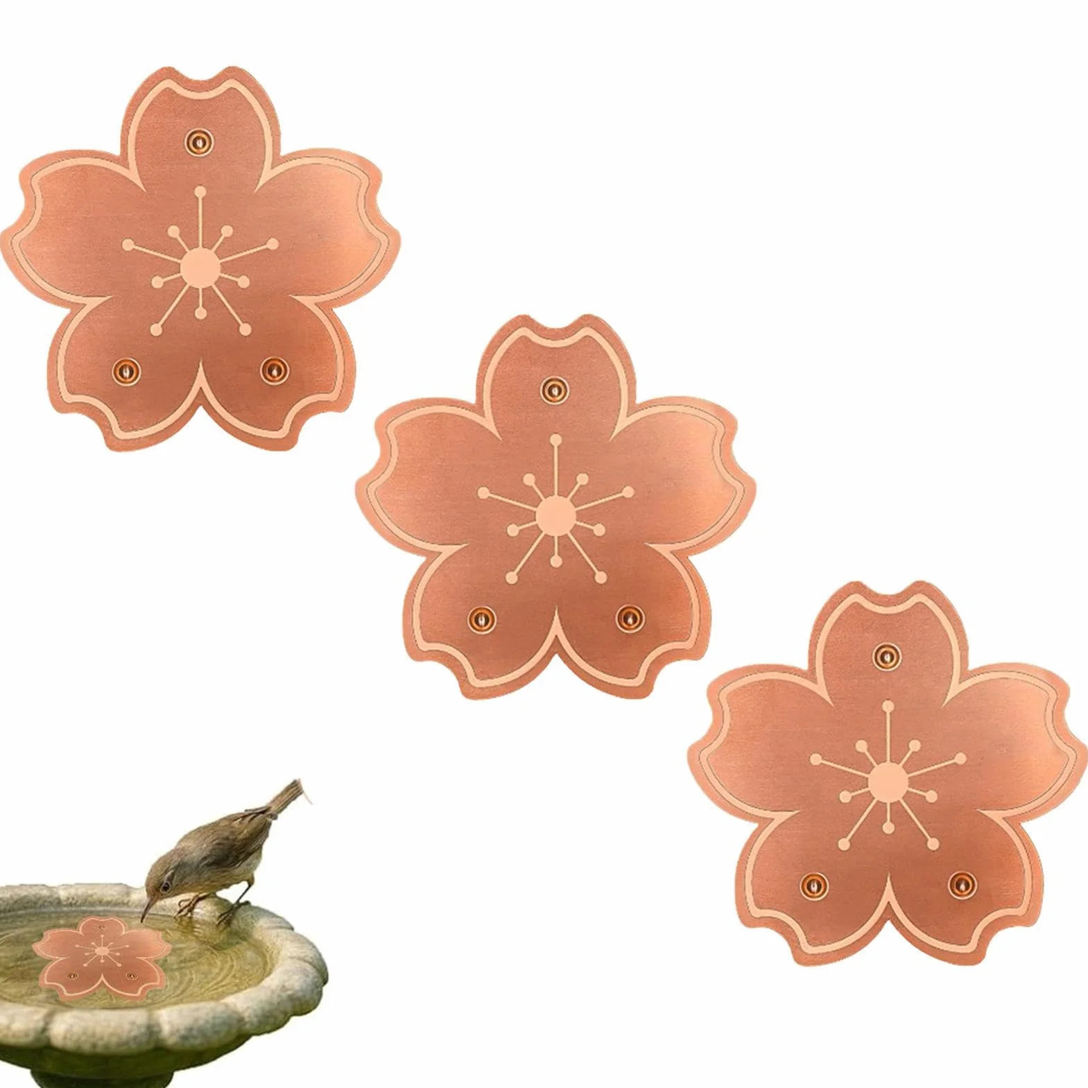 Disque en Cuivre Purificateur pour Fontaine À Oiseaux, Nettoyage Anti-Rouille 3 Pièces