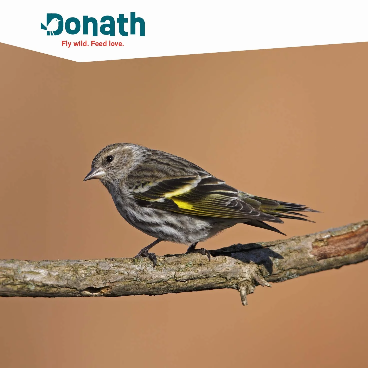 Donath Boîte à Énergie 5+1 Oiseaux Sauvages Nourriture 620 g