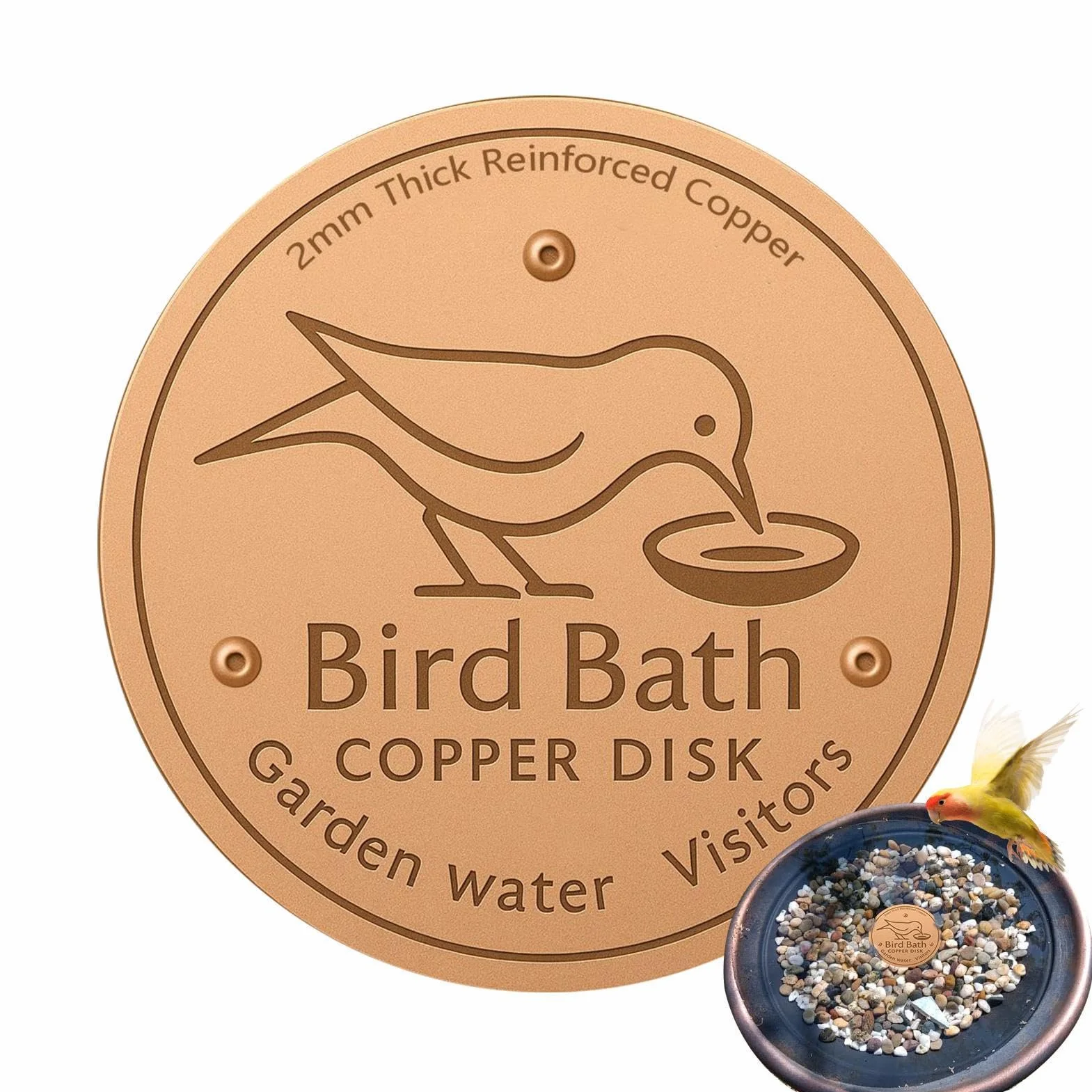 Disque en Cuivre pour Bain d'Oiseaux avec Support à Trois Points, Base Antidérapante